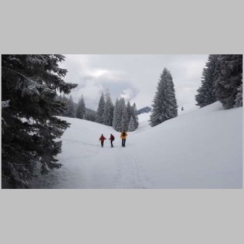 20180218-Schneeschuhwanderung Arvenbuel-20180220_130200-small.jpg
